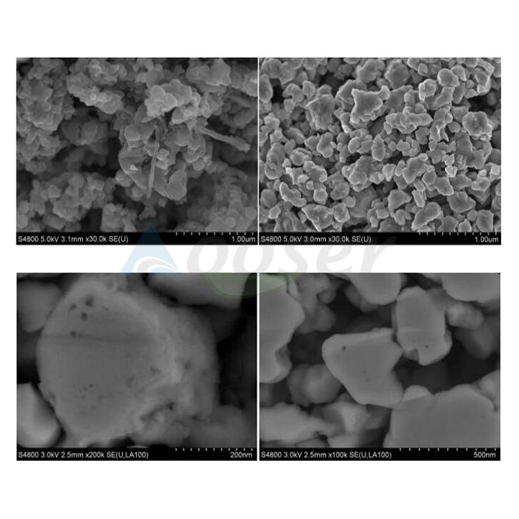Lithium Titanium Oxide LTO Powder SEM