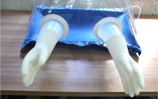 plastic glove bag