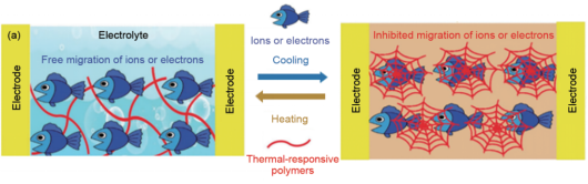 Inhibition of ion or electron conduction between electrodes.png