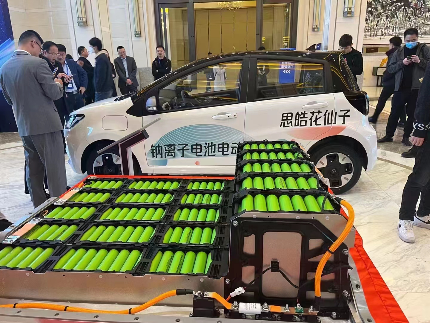 sodium ion car
