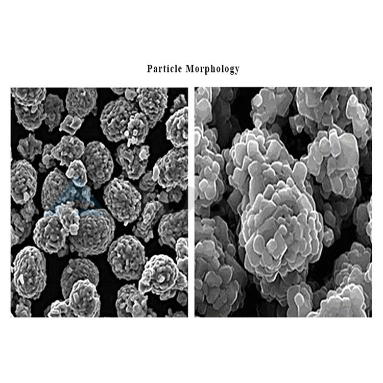 particle morphology