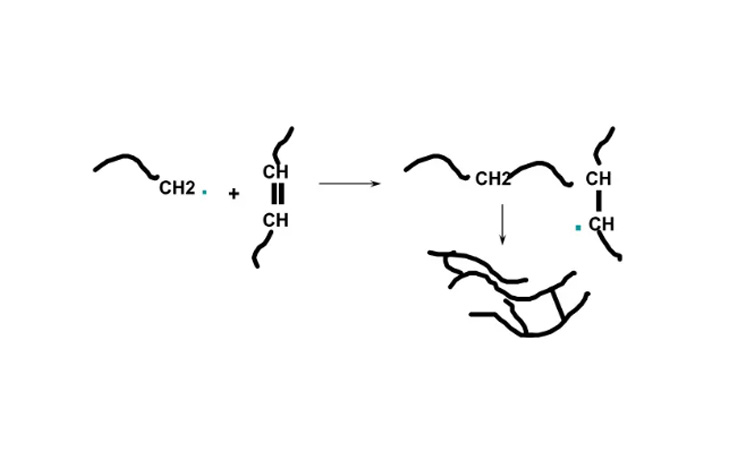 SBR shell is a hydrophilic polar gene and surfactant