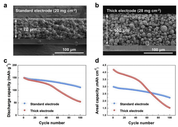 cross-section diagram of the electrodes of two thickths